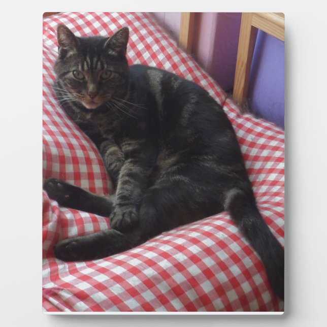 Cute Dave Plaque (Front)