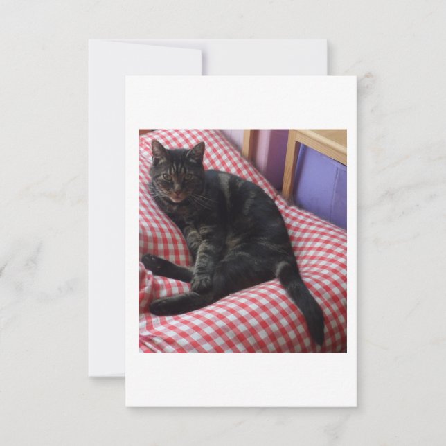Cute Dave Response Card (RSVP) (Front)