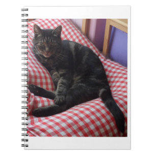 Cute Dave Spiral Notebook