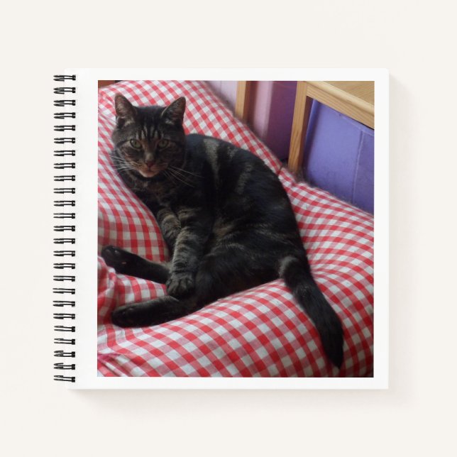 Cute Dave Spiral Notebook (Front)
