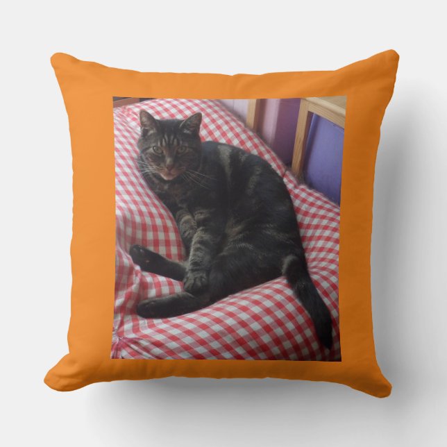 Cute Dave Throw Cushion (Front)