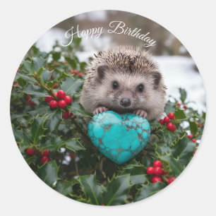 Cute December Hedgehog with Turquoise Heart Classic Round Sticker