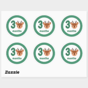 Cute Deer Baby Monthly Milestone Classic Round Sticker