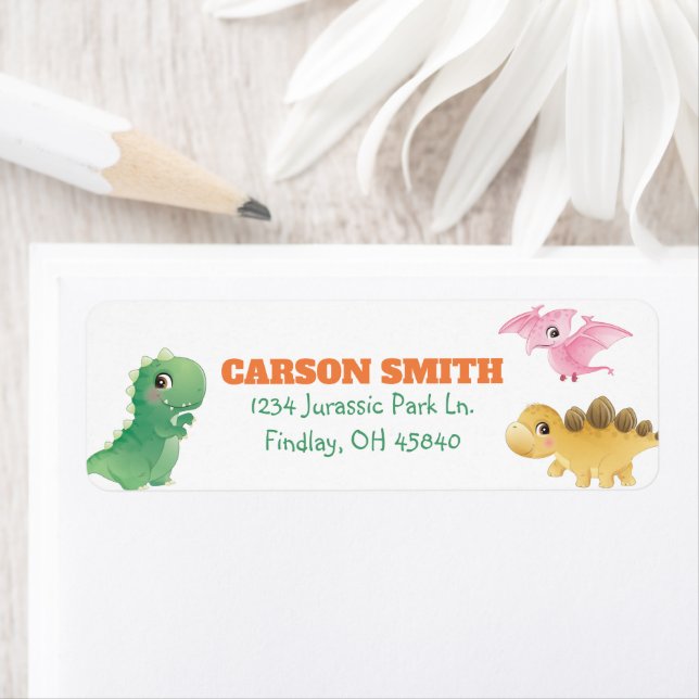 Cute Dinosaur Birthday Party Address (Insitu)
