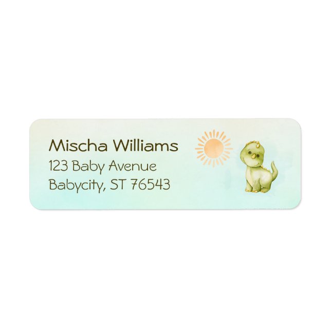 Cute Dinosaur Boys Baby Shower Return Address (Front)