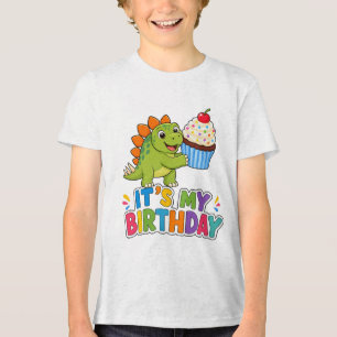 Cute Dinosaur Cupcake It's My Birthday Kids T-Shir Tri-Blend Shirt