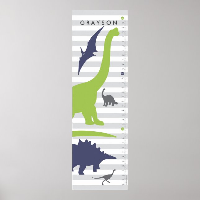 Cute Dinosaur Nursery Growth Chart - Dino Decor (Front)
