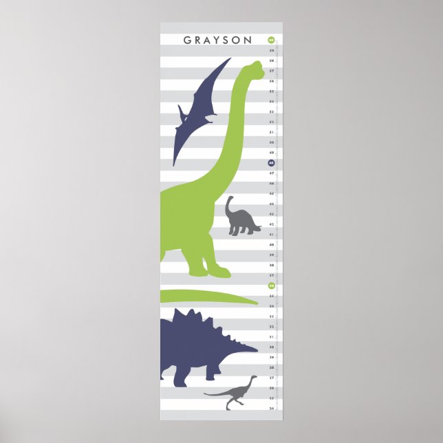 Cute Dinosaur Nursery Growth Chart - Dino Decor (Front)