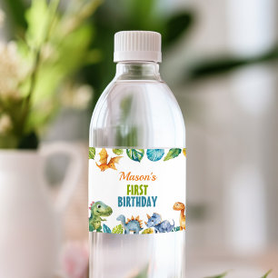 Cute Dinosaurs Birthday Water Bottle Label