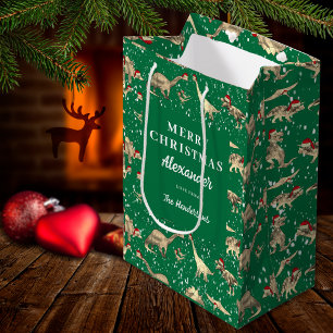 Cute Dinosaurs in the Snow Christmas Personalised Medium Gift Bag