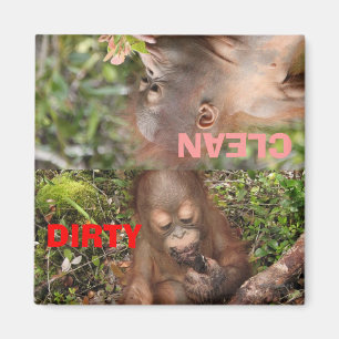 Cute Dirty or Clean Dishes in dishwasher Magnet