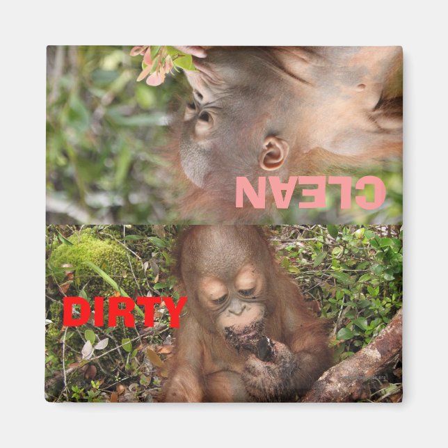 Cute Dirty or Clean Dishes in dishwasher Magnet (Front)