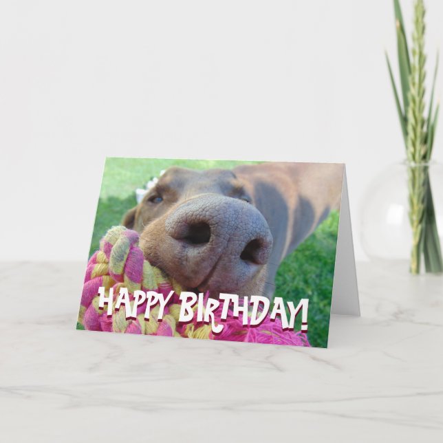 Cute doberman birthday card (Front)