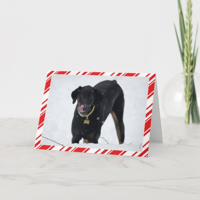 Cute Doberman in Snow Holiday card (Front)