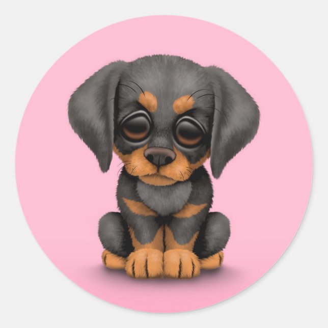 Cute Doberman Pinscher Puppy Dog on Pink Classic Round Sticker (Front)