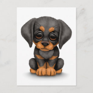 Cute Doberman Pinscher Puppy Dog on White Postcard