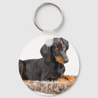 cute doberman pinscher puppy key ring