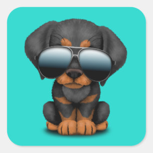 Cute Doberman Puppy Dog Wearing Sunglasses Square Sticker