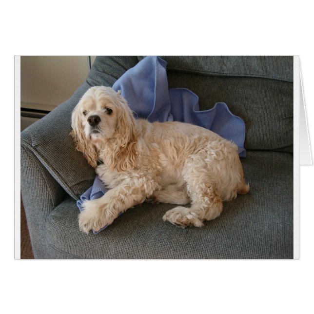 Cute Dog (Front Horizontal)