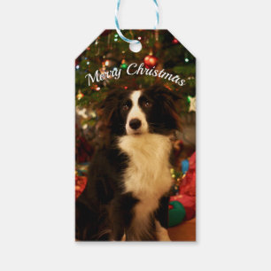 Cute Dog and Christmas Tree Gift Tags
