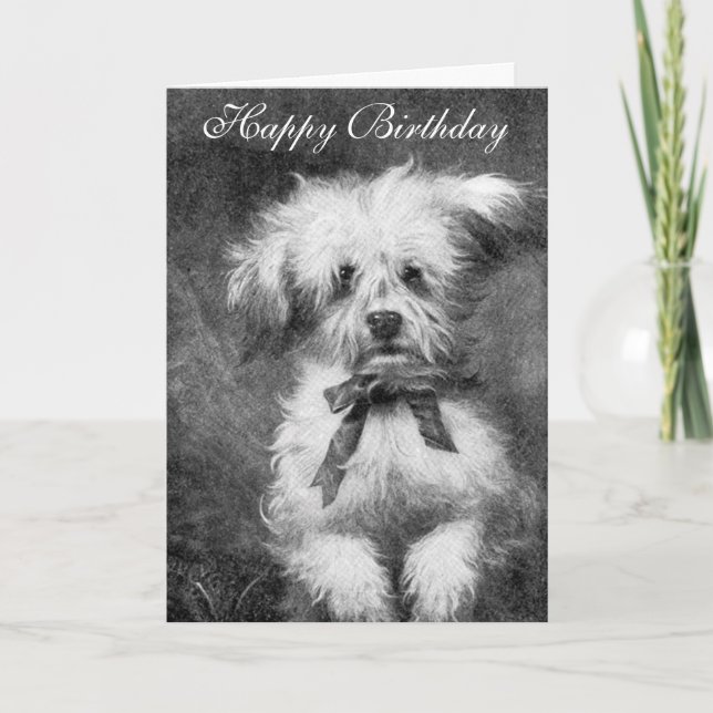 Cute Dog Birthday Card (Front)