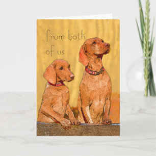 cute dog birthday card from both of us