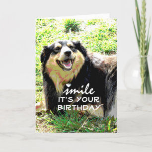 cute dog birthday card humour on  photo art