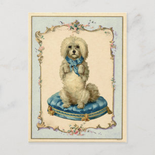 Cute Dog Blue Cushion Vintage Reproduction Postcard