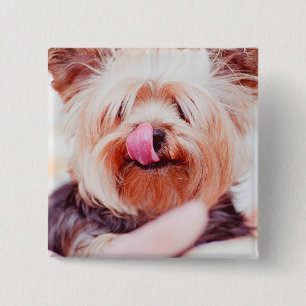 Cute Dog button 8