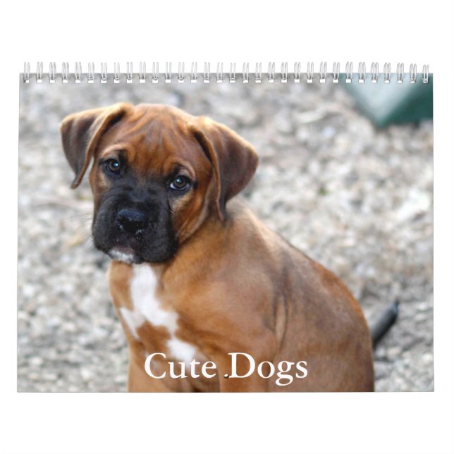 Cute Dog Calendar (Cover)