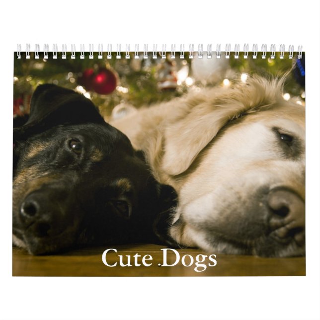 Cute Dog Calendar (Cover)