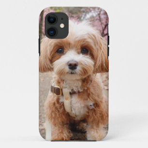 Cute Dog iPhone 11 Case