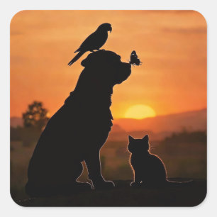 Cute Dog Cat Bird and Butterfly in Sunset Square Sticker