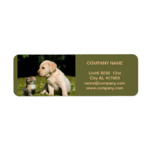 Cute dog cat pet sitter animal sitter pet groomer