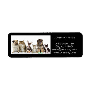 Cute dog cat pet sitter animal sitter pet groomer