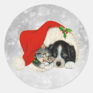 Cute Dog Cat Santa Cap Christmas Classic Round Sticker