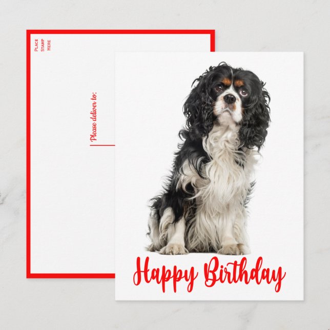 Cute Dog Cavalier King Charles Spaniel Birthday Po Postcard (Front/Back)