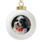 Cute Dog Christmas Ornament, K-Cee Christmas Scarf
