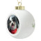 Cute Dog Christmas Ornament, K-Cee Scarf