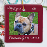 Cute Dog Christmas Personalized 2 Pet Photo Ceramic Ornament<br><div class="desc">Pawsitively Best Year Ever ! According to the dogs! Decorate your tree or send a special gift with this super cute personalized custom pet photo christmas ornament. This funny pandemic quarantine dog christmas ornament will be a favorite among all dog lovers. Add your dog's photo and personalize with name and...</div>