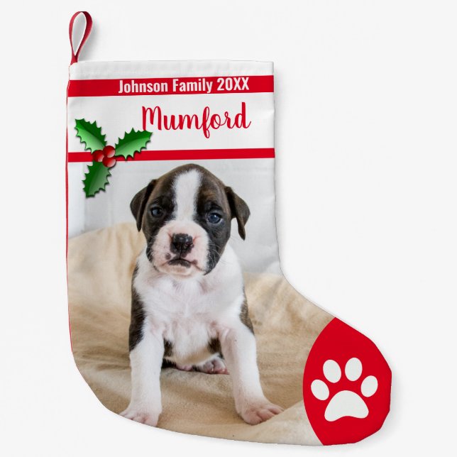 Cute Dog Christmas Stockings - Personalised Family (Front)