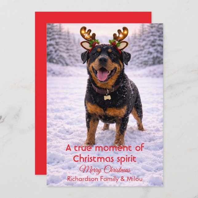 Cute Dog Christmas Sweet Quote | Holiday Card (Front/Back)