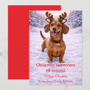 Cute Dog Christmas Sweet Quote   Holiday Card