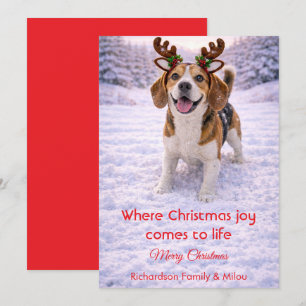 Cute Dog Christmas Sweet Quote   Holiday Card