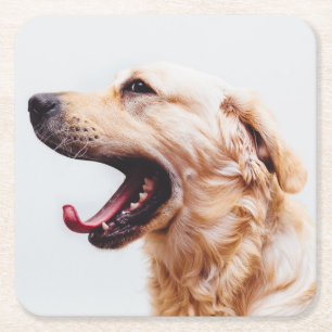 Cute Dog coasters 1