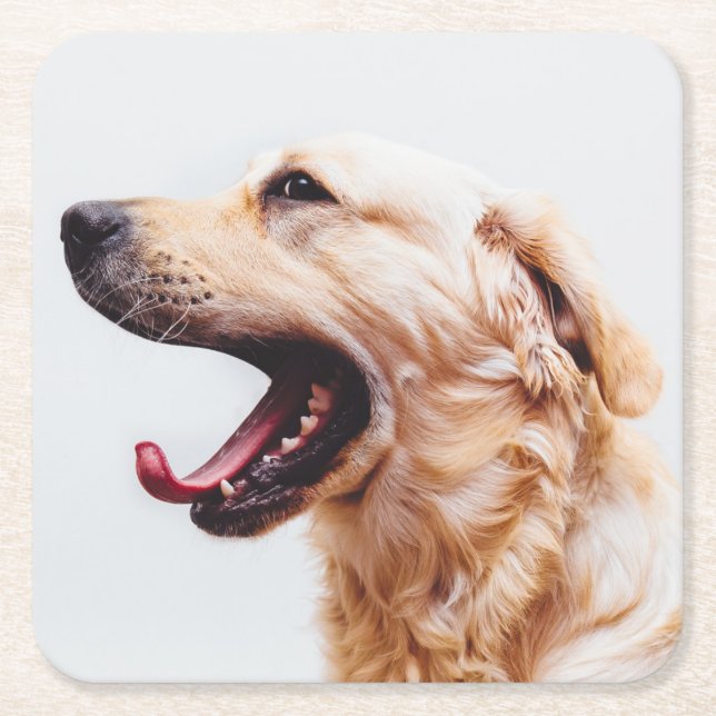 Cute Dog coasters 1 (Front)