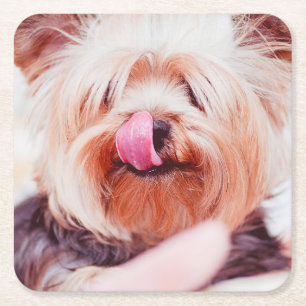 Cute Dog coasters 5