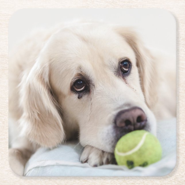 Cute Dog coasters 7 (Front)