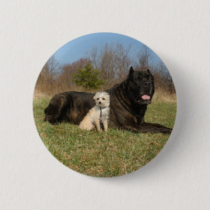 Cute Dog Couple 6 Cm Round Badge