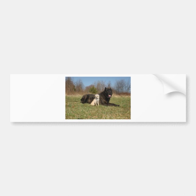 Cute Dog Couple Bumper Sticker (Front)